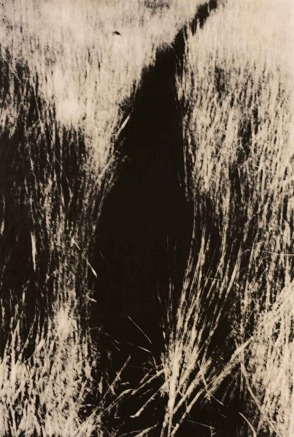 z cyklu bez tytułu, nr neg. 1115/35